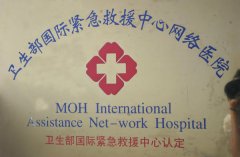 衛生部國際緊急救援