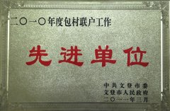 2010年度包村聯戶工作