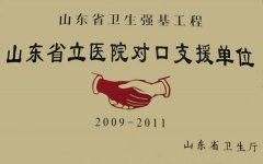 山東省立醫院對口支
